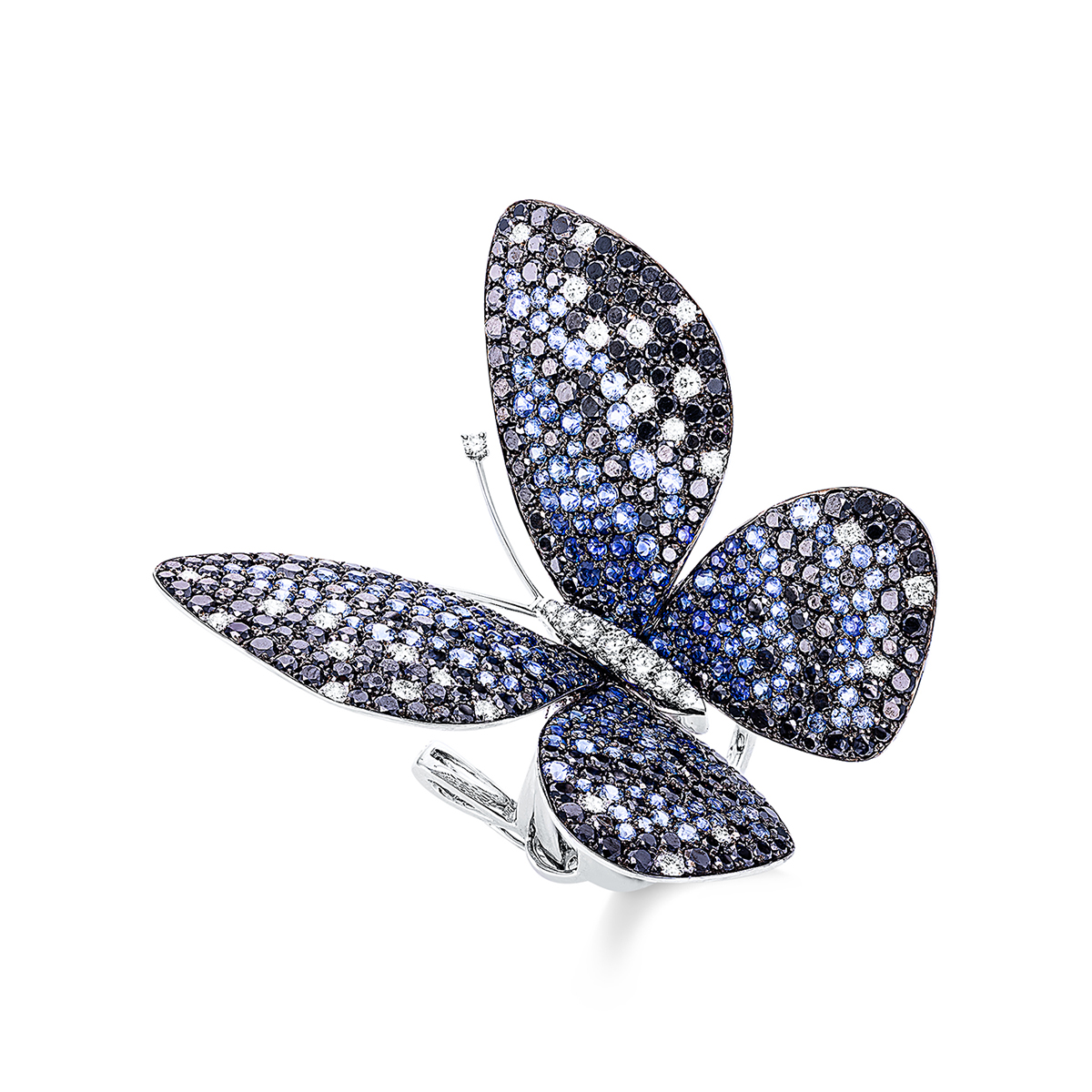 Ring 18 kt WG "Schmetterling", Fassung teils schwarz rhodini