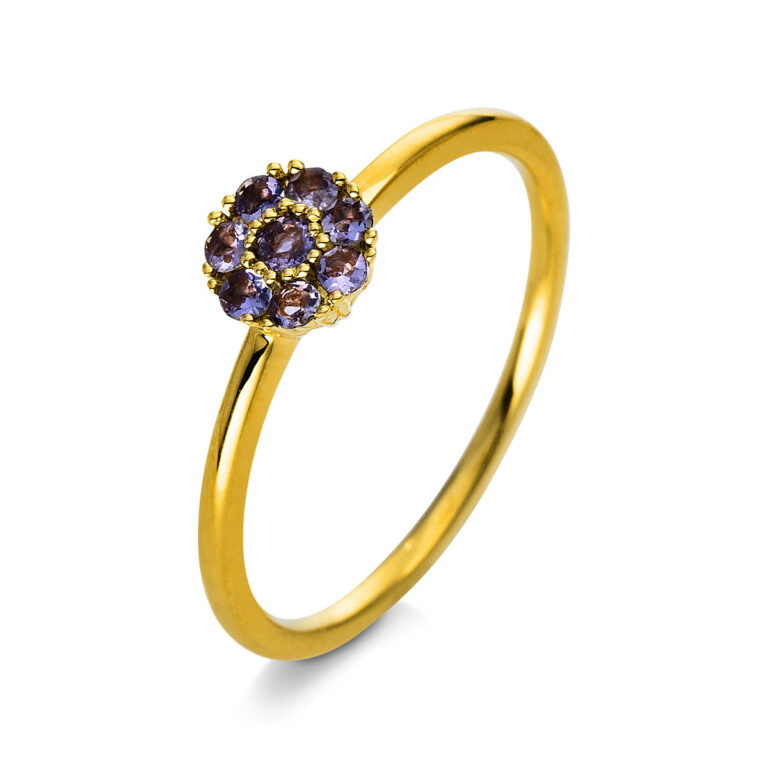 Ring 18 kt GG