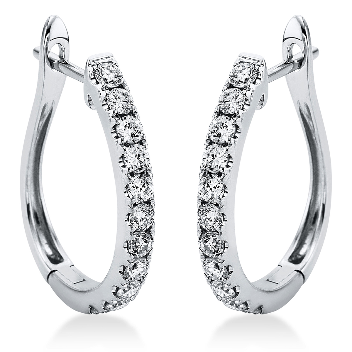 Creolen 18 kt WG