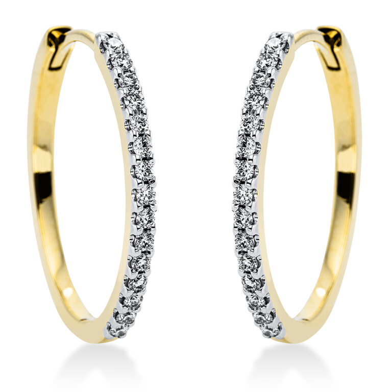 Creolen 18 kt GG+WG